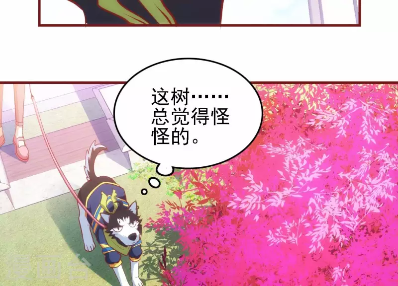 第41话 谁是爸爸(1/2)-第41话