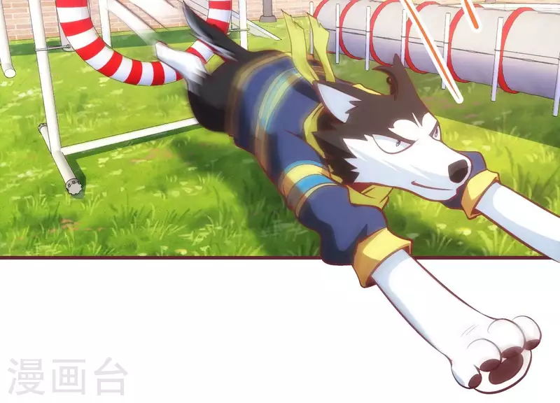 第41话 谁是爸爸(1/2)-第41话