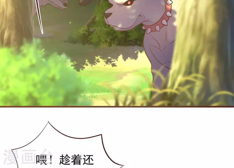 第77话 戏耍众呆(1/2)-第77话