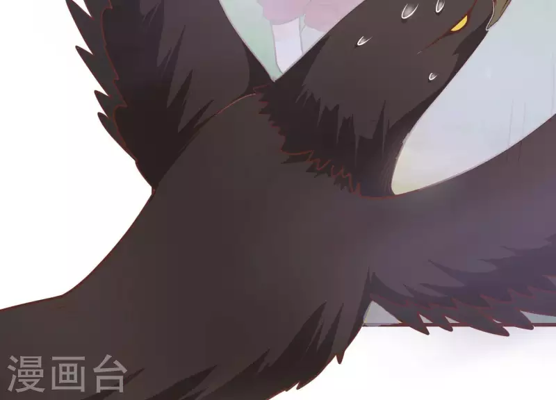 第77话 戏耍众呆(1/2)-第77话