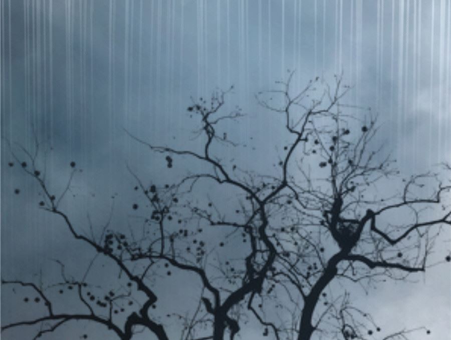 我没有死-第31话