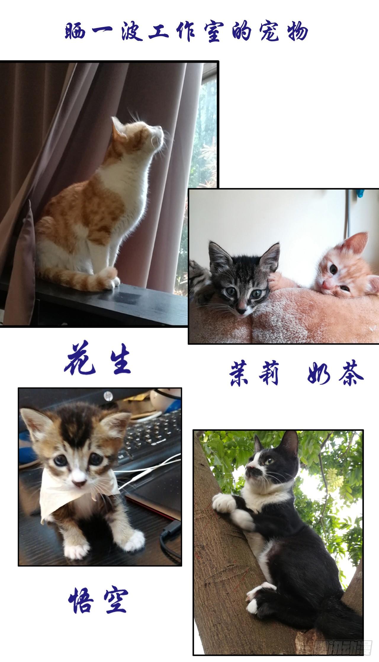 劫财杀人，苍生何辜-第11话