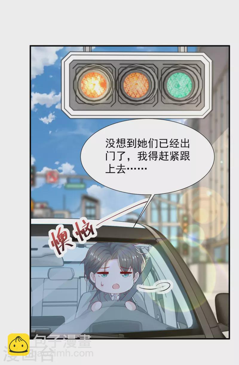 重生之虐渣女王 - 第115話 她是衝着暖暖去的 - 6