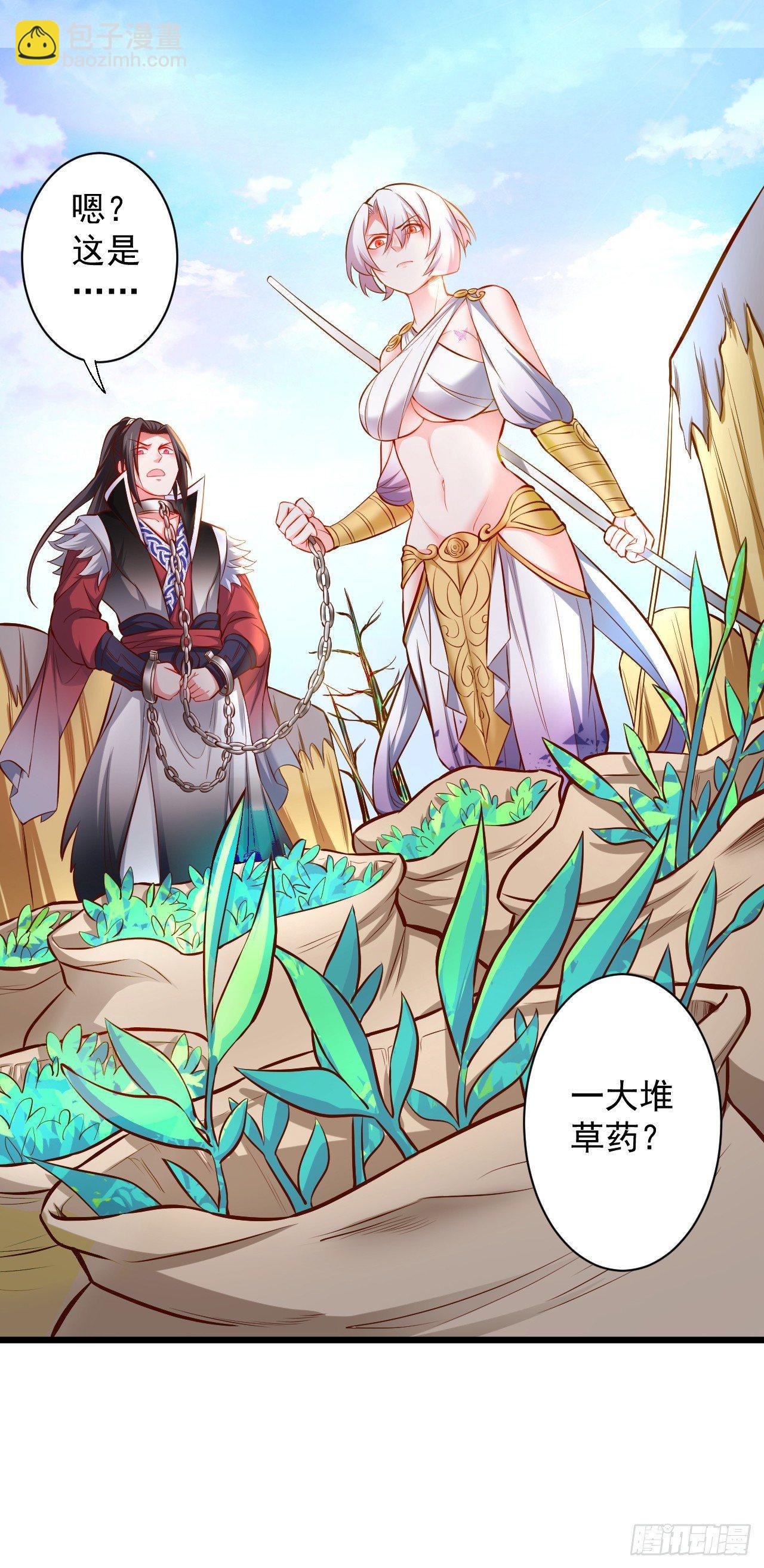 苏子识药春还暖(1/2)-第33话