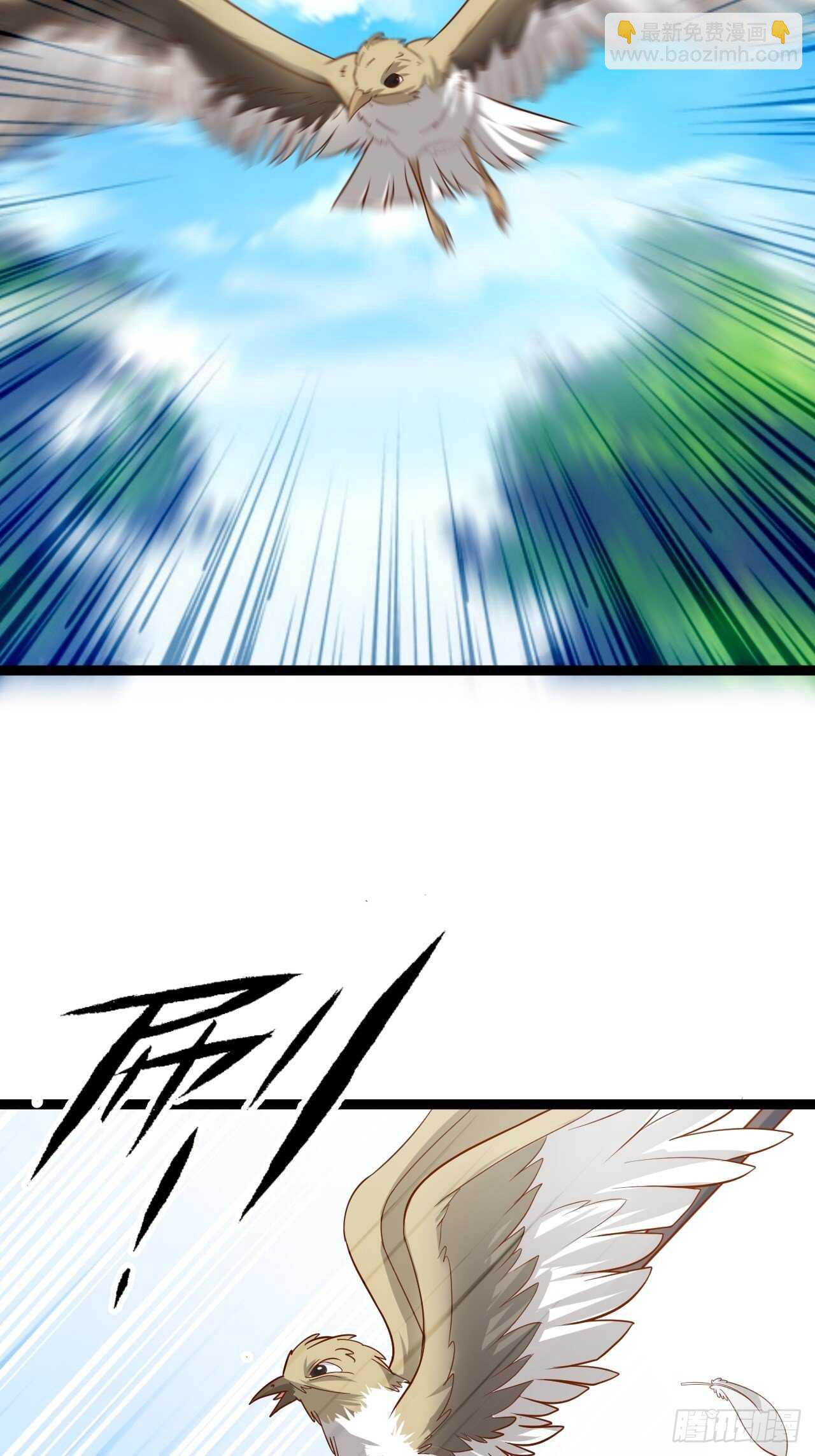 邯郸六艺菊花台(1/2)-第71话