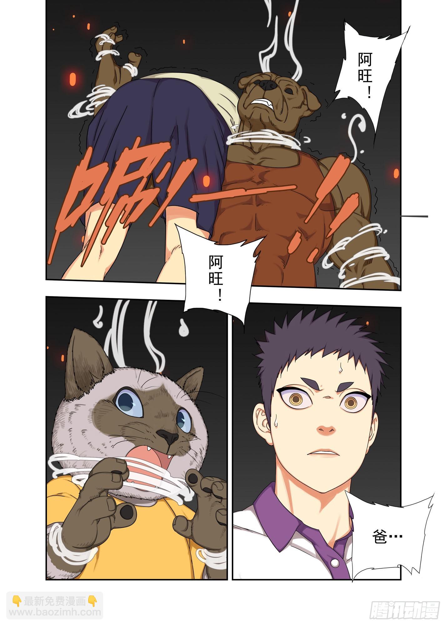 阿猫阿狗-第289话