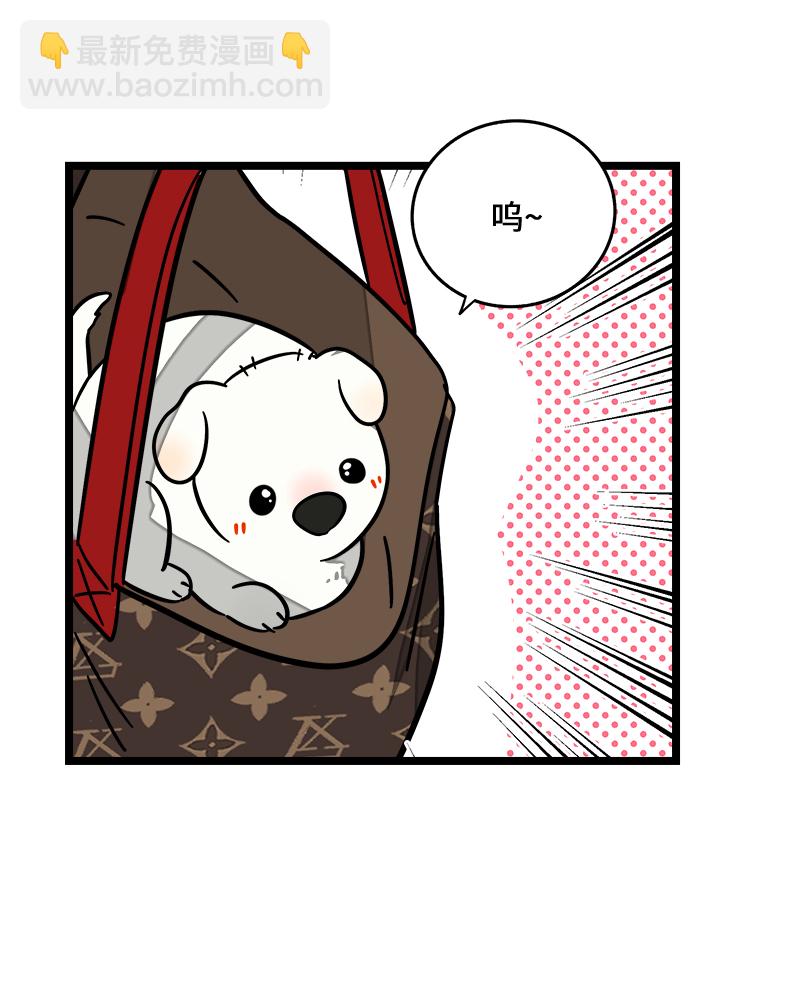 週一至週末 - 第70話 幸運的小狗 - 6