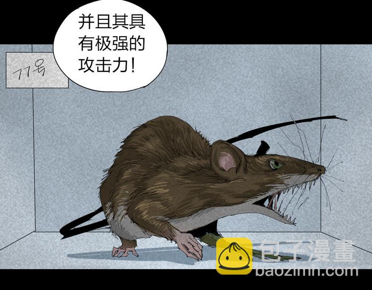 第14话 转移阵地(1/2)-第15话