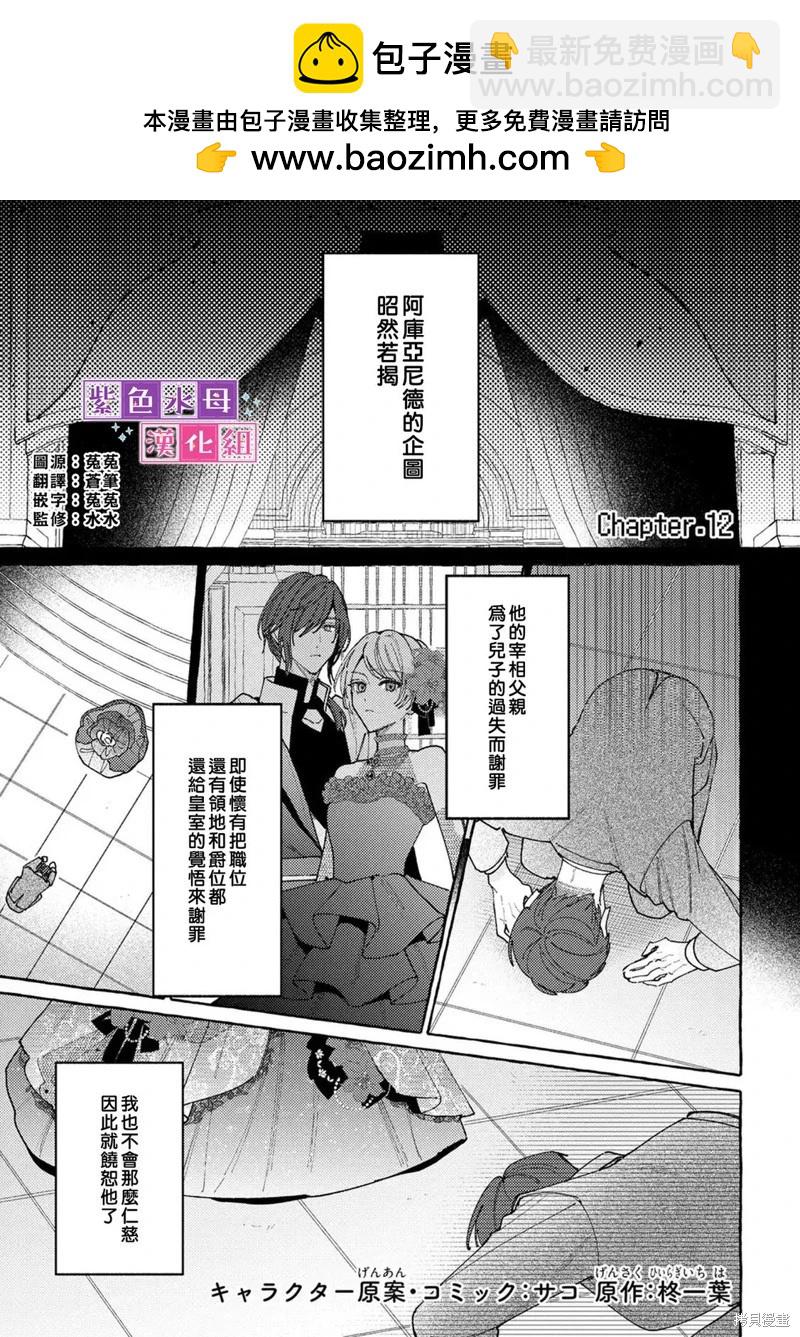 轉生公主比起愛更想要領地所以期望政治聯姻！ - 第12話 - 2