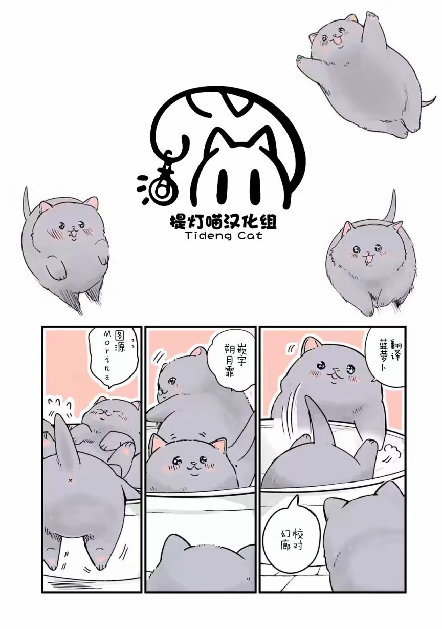 轉生貓貓 - 第19話 - 1