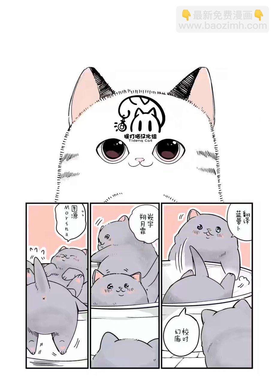 轉生貓貓 - 第23話 - 1