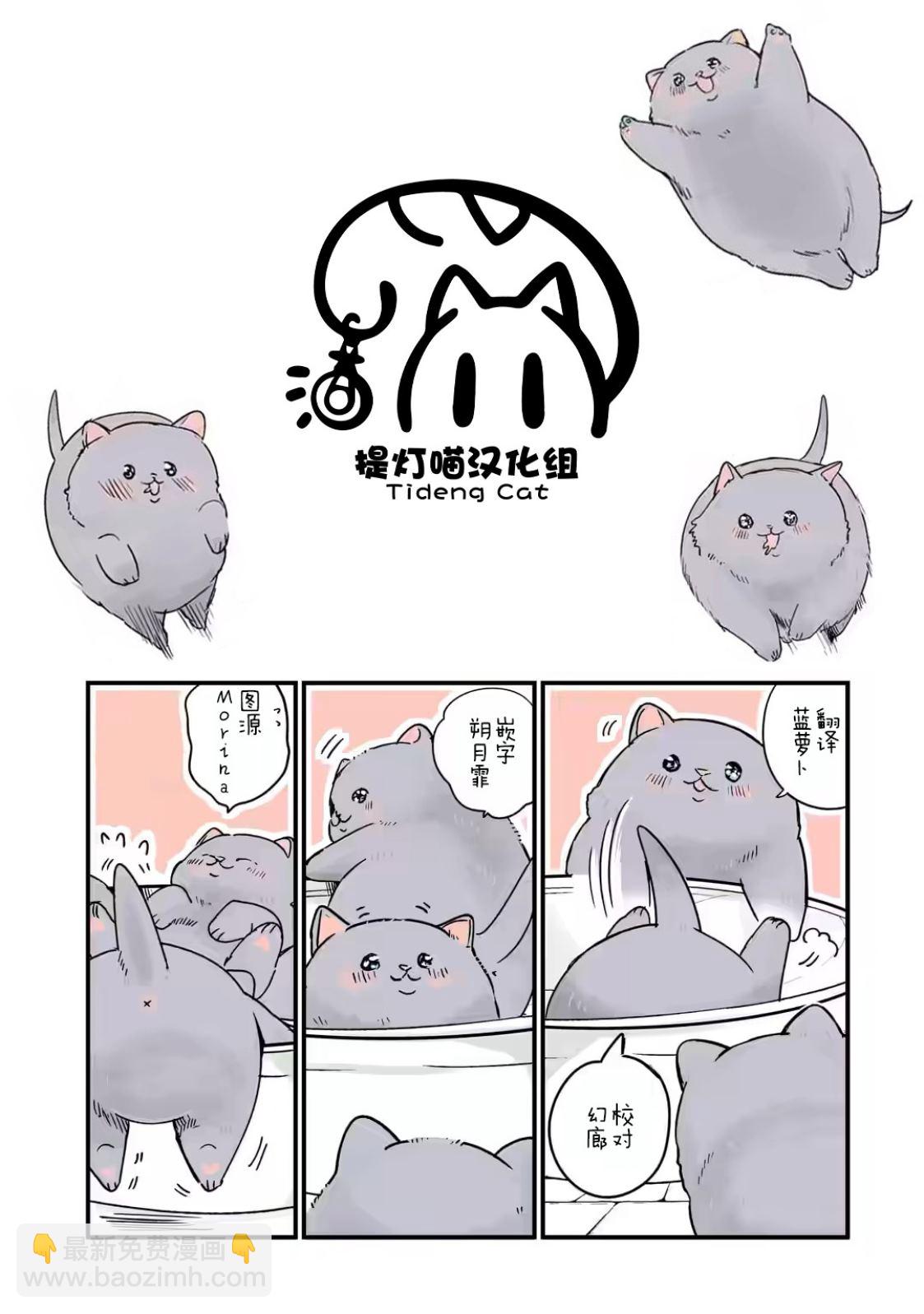 轉生貓貓 - 第27話 - 1