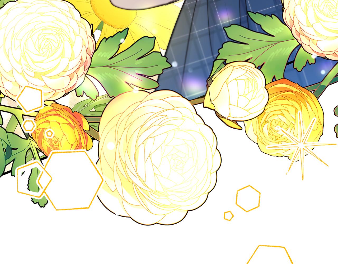 第29话 皮奥尼(1/5)-第29话