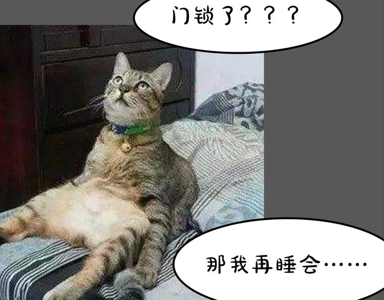 第13期 冰山佼佼(1/2)-第13话