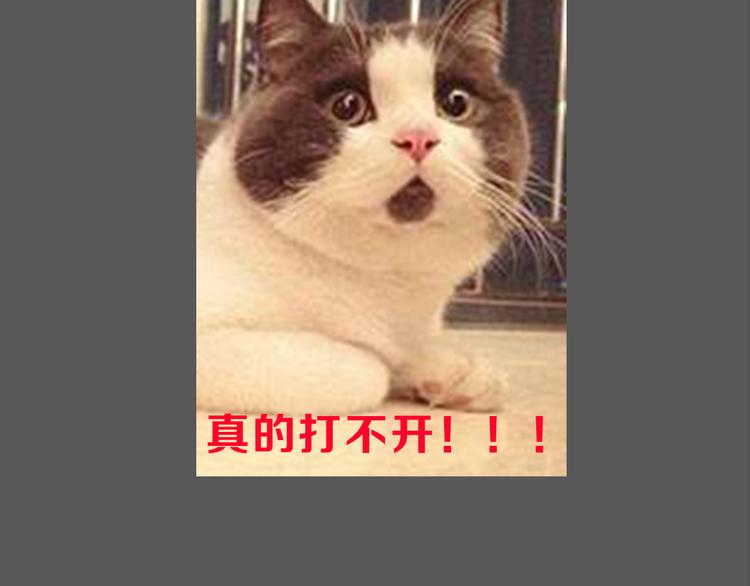 第13期 冰山佼佼(1/2)-第13话