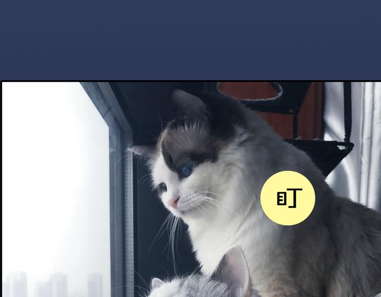 第4期 郭斯特(1/2)-第5话