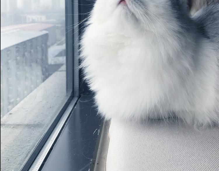 第4期 郭斯特(1/2)-第5话