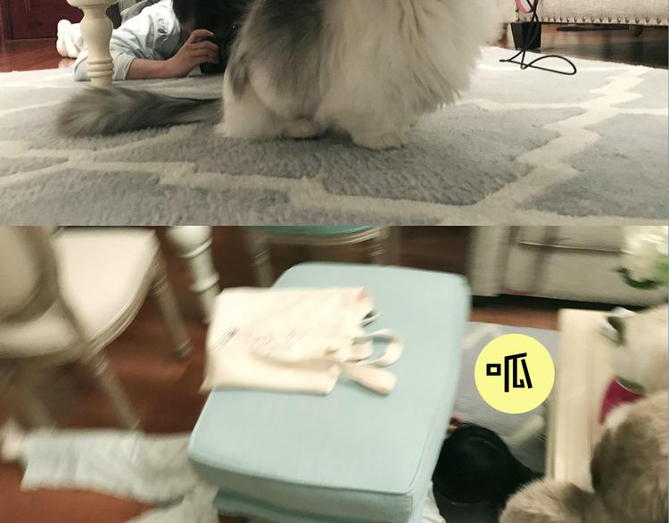 第4期 郭斯特(1/2)-第5话