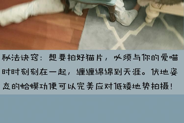 第4期 郭斯特(1/2)-第5话