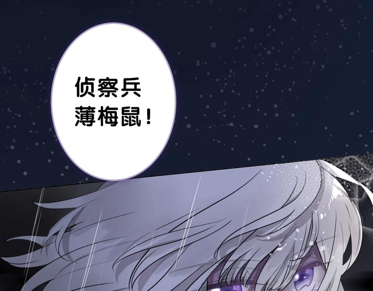 第51期 黑角兔(1/2)-第51话