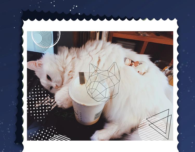 第51期 黑角兔(1/2)-第51话