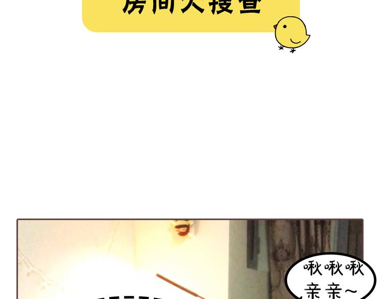 第6期 千本SheaBob(1/3)-第7话