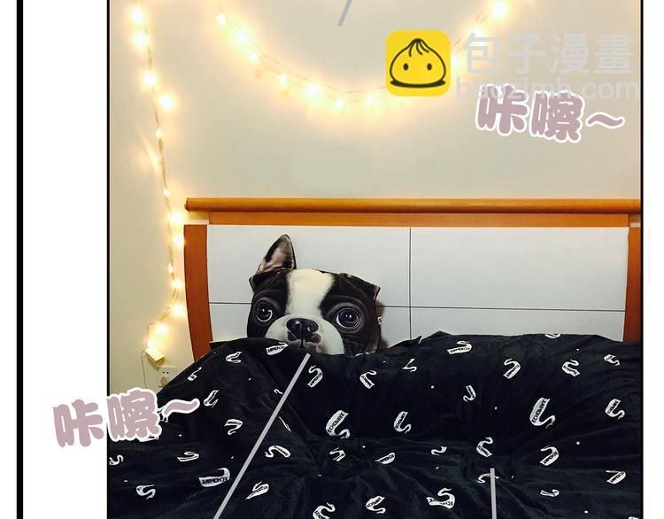 第6期 千本SheaBob(1/3)-第7话