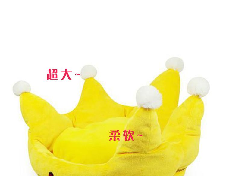 第9期 柯小(1/3)-第9话