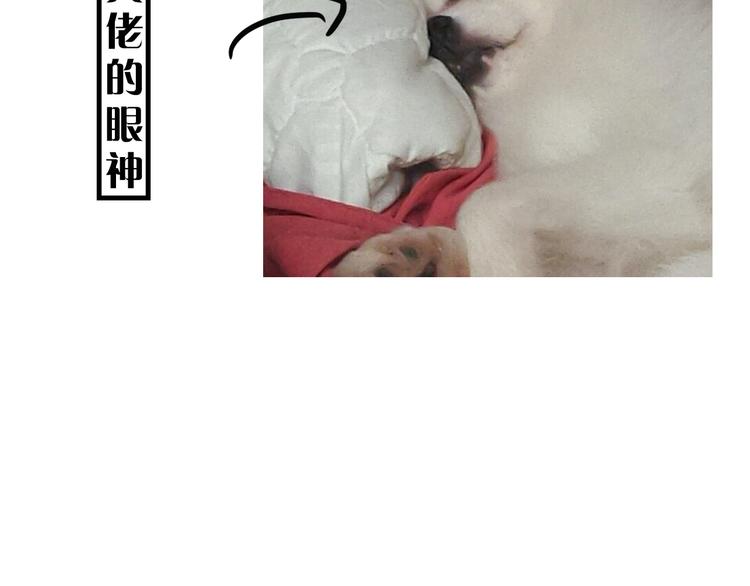 第9期 柯小(1/3)-第9话