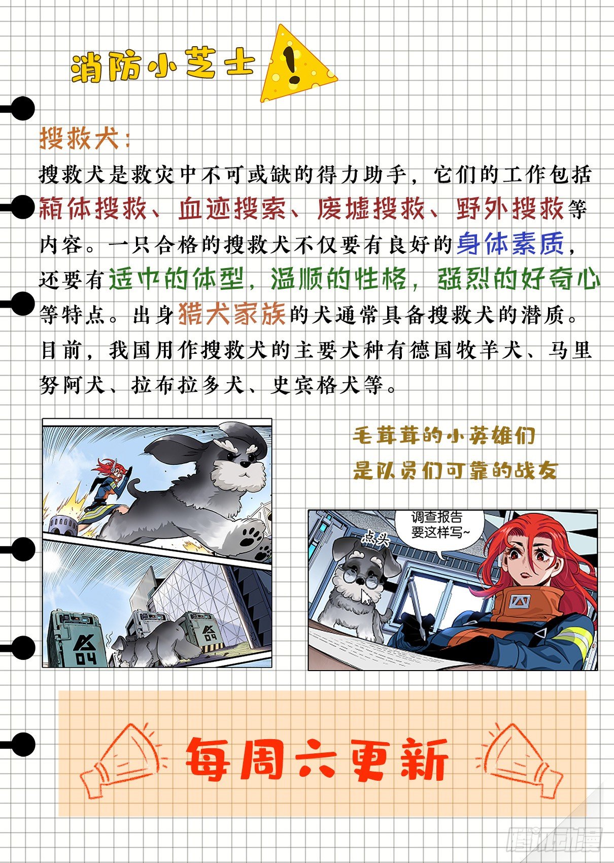 Bingo Go Go Go!-第11话