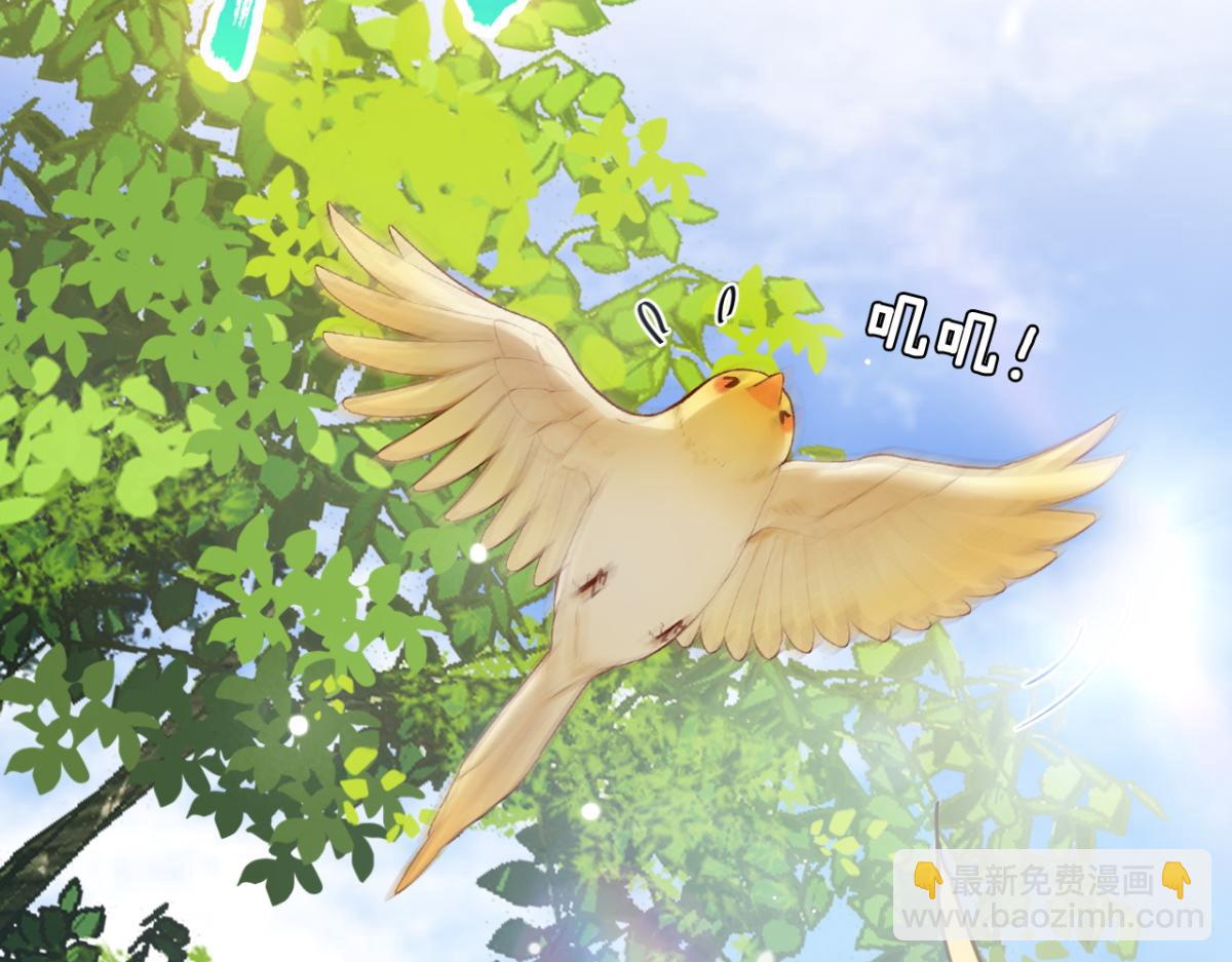 第10话 我怎么会说那种话(1/3)-第11话