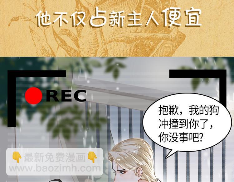 一条凡尔赛狗的烦恼(1/2)-第3话