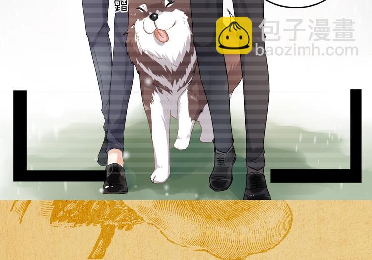 一条凡尔赛狗的烦恼(1/2)-第3话