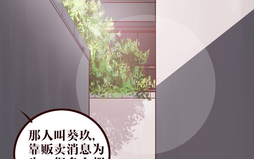 33 第32话 包打听(1/2)-第33话