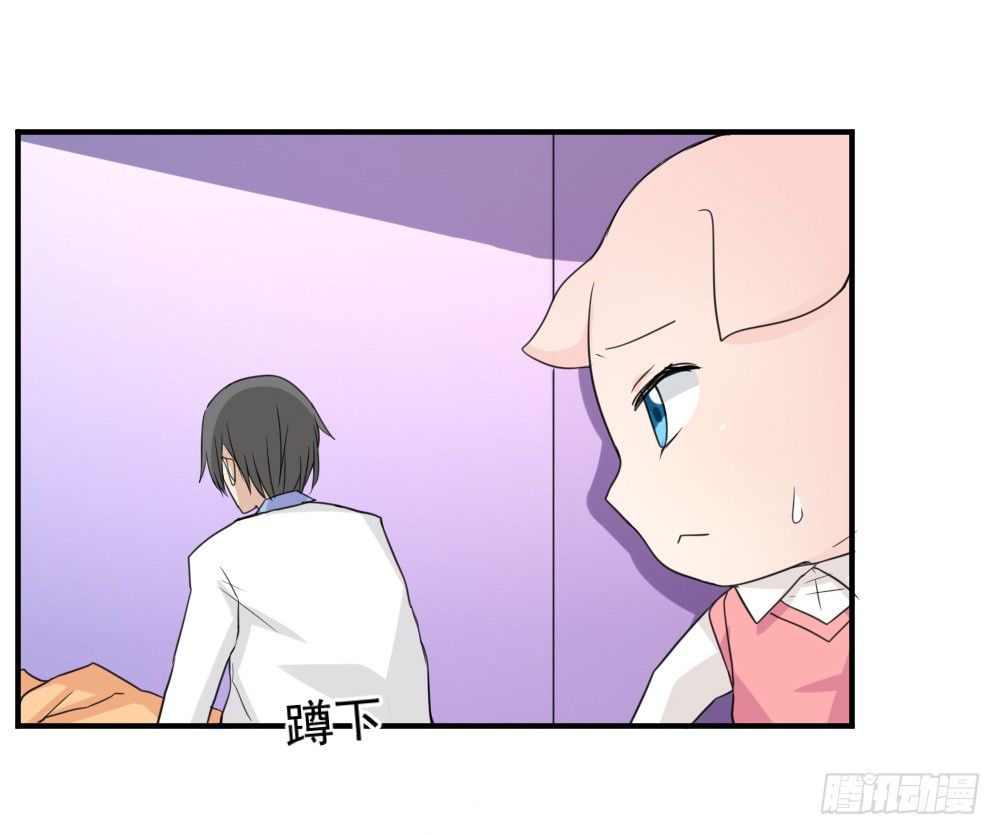 奇怪的猪猪画像（2）-第15话