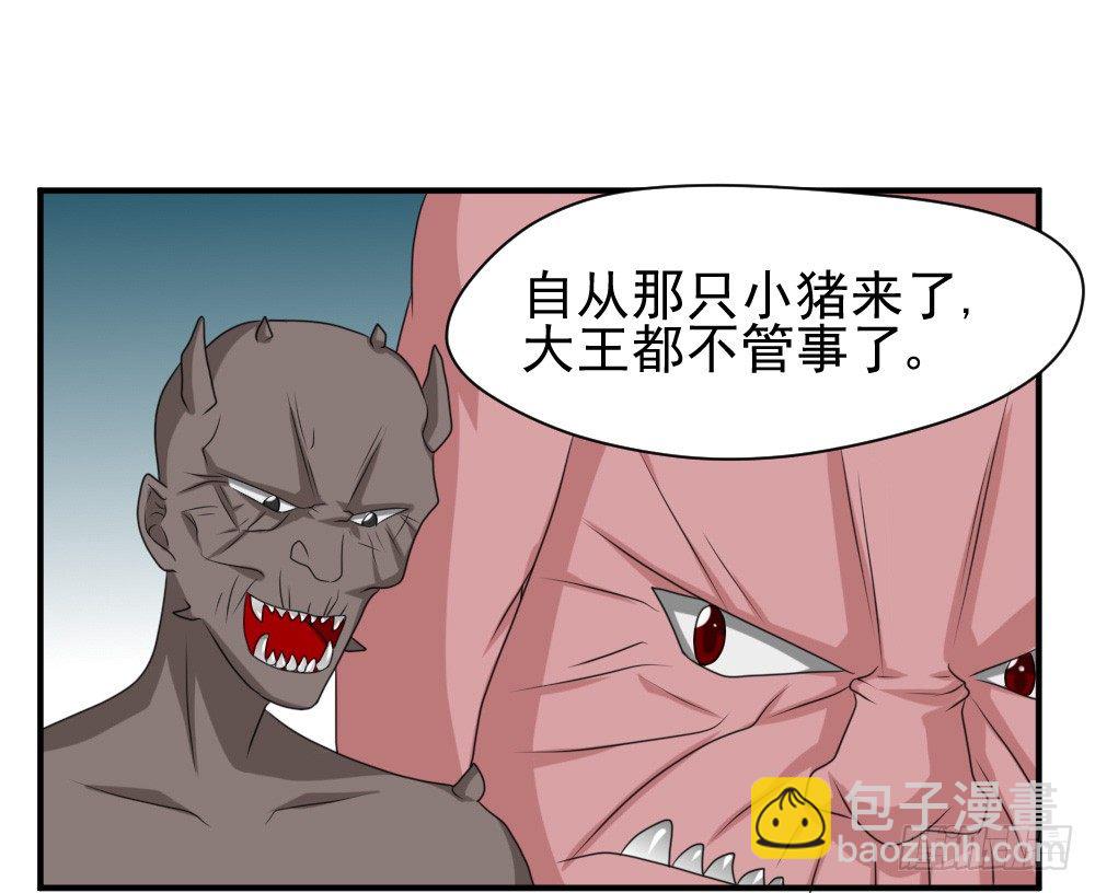 宠猪狂魔-第27话