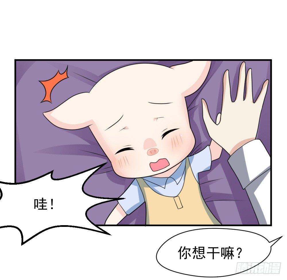 宠猪狂魔-第27话