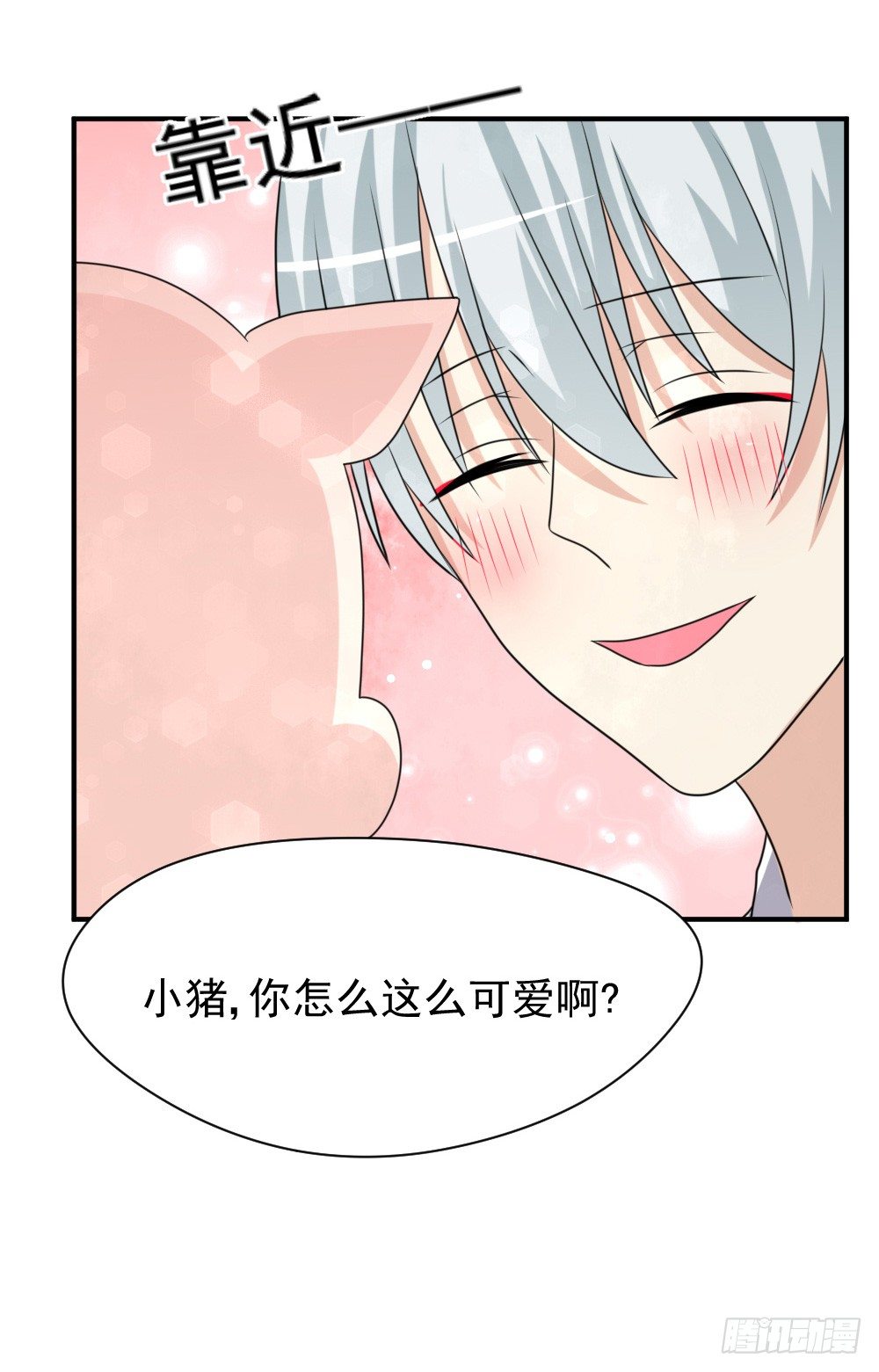 宠猪狂魔-第27话