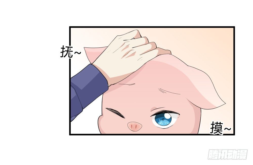 猪猪学法术-第9话