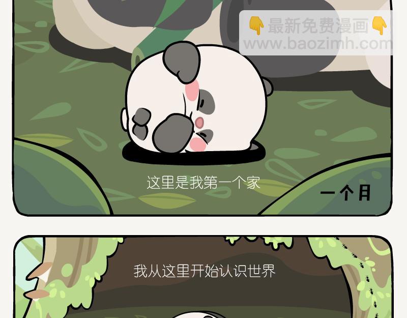 第11话 在树洞-第11话