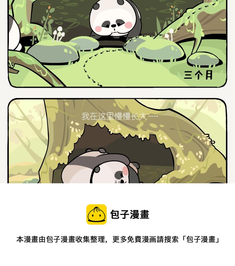 第11话 在树洞-第11话