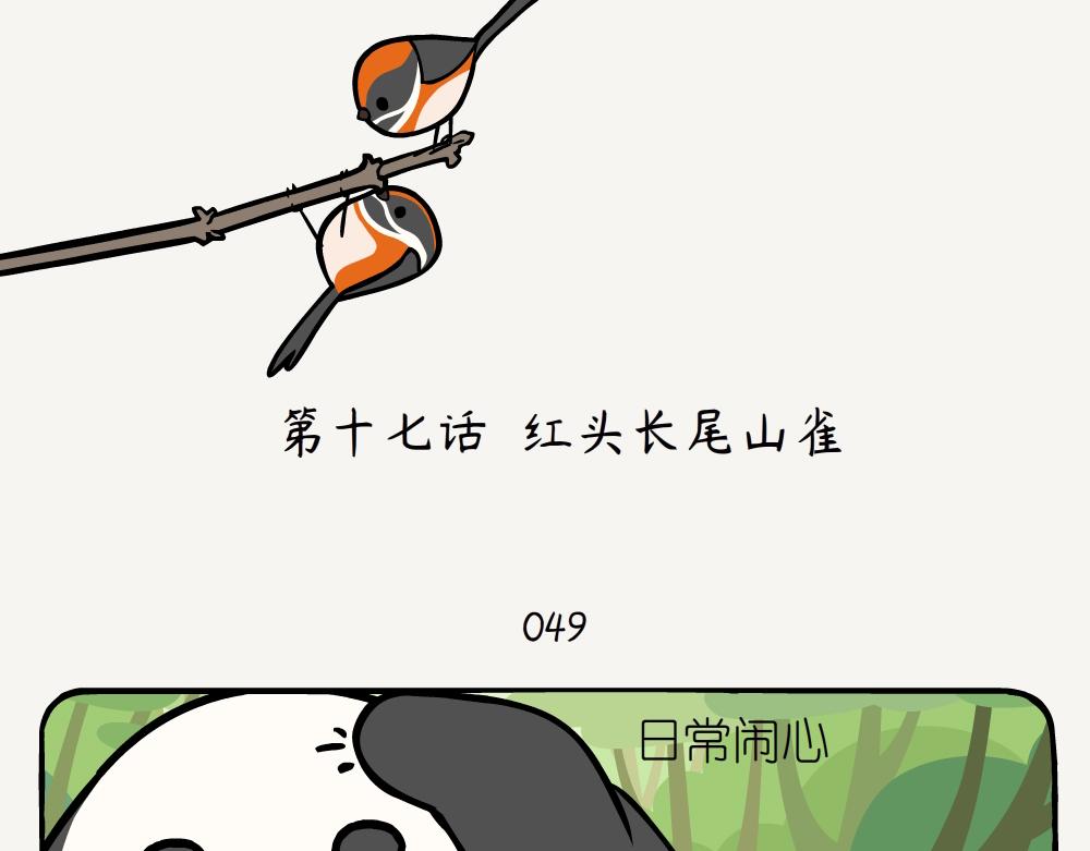 第17话 红头长尾山雀-第17话