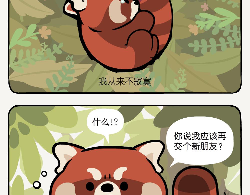 第19话 小熊猫-第19话