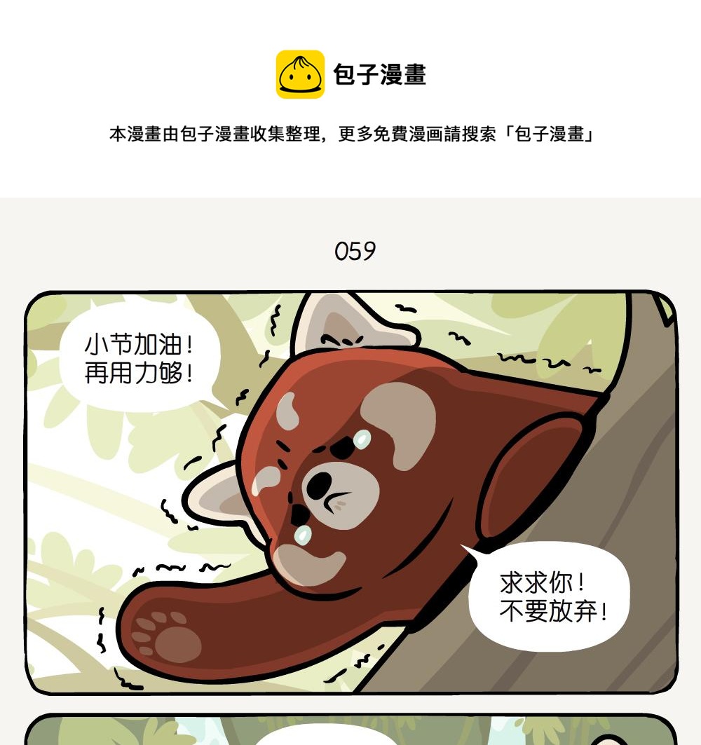 第19话 小熊猫-第19话