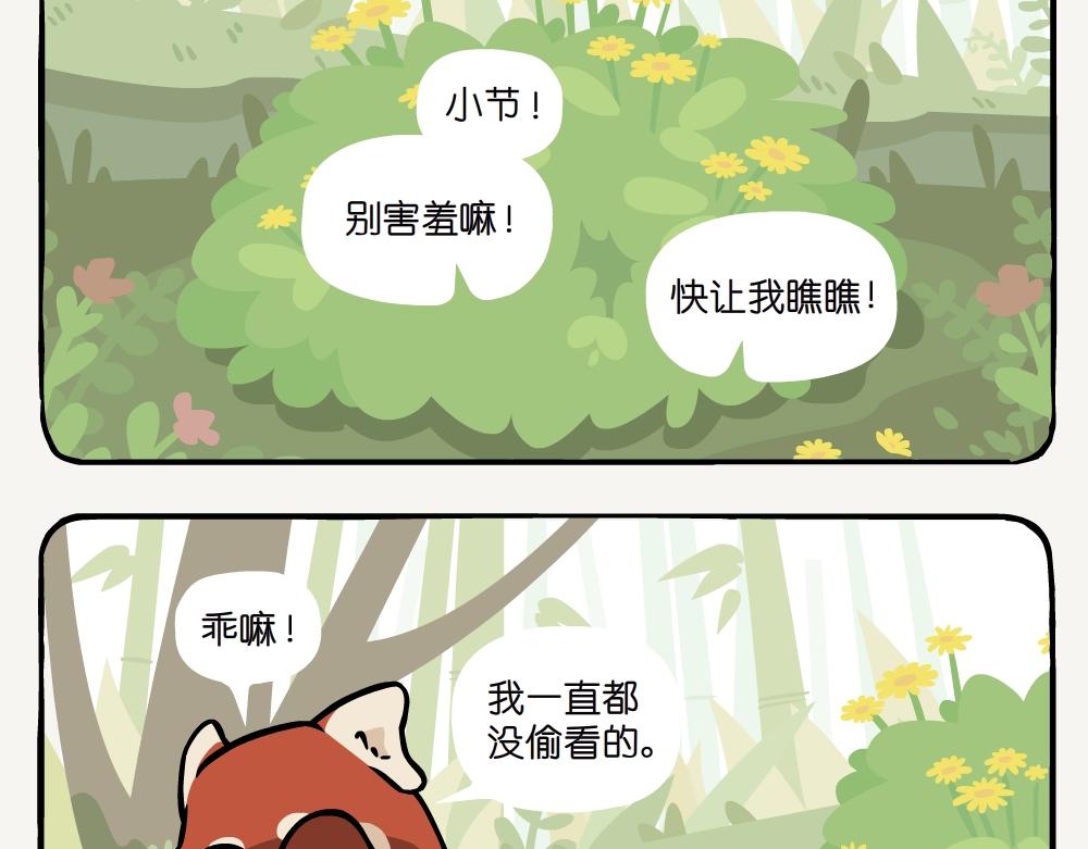 第19话 小熊猫-第19话