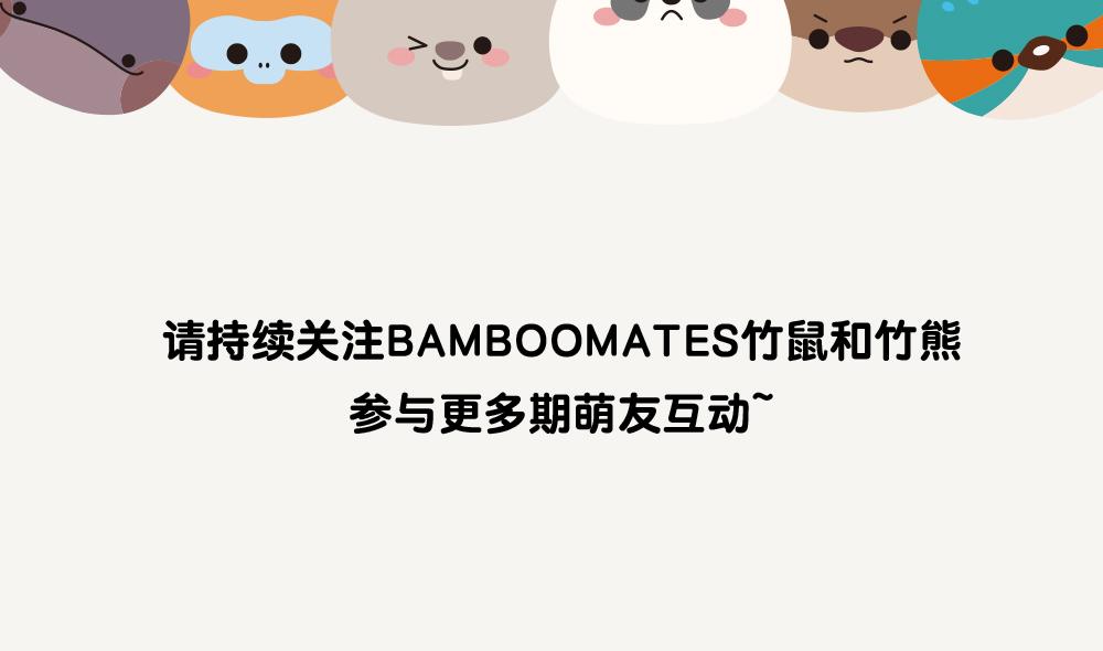 第19话 小熊猫-第19话