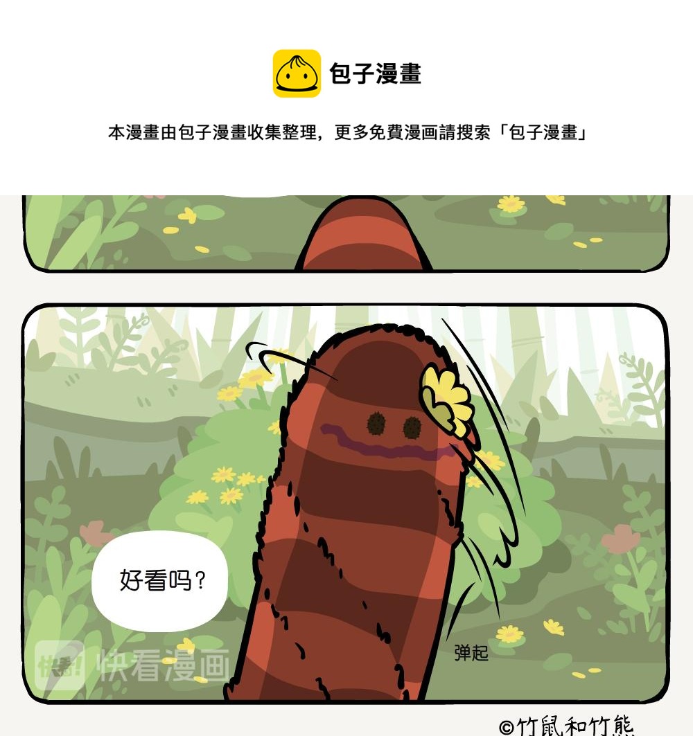 第19话 小熊猫-第19话