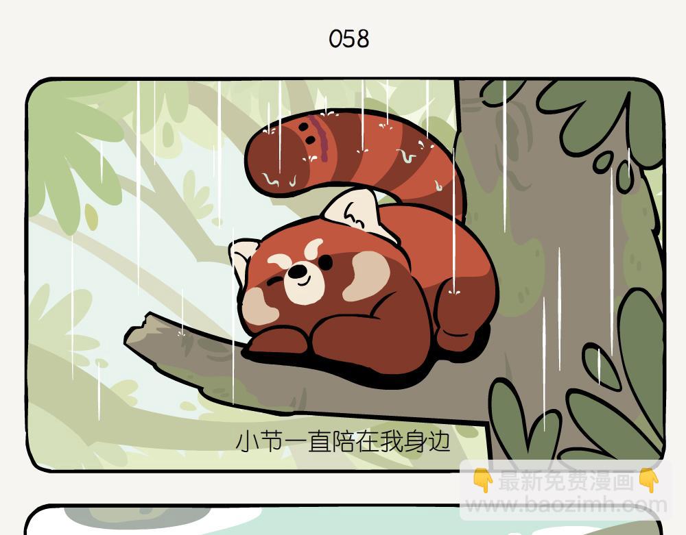 第19话 小熊猫-第19话