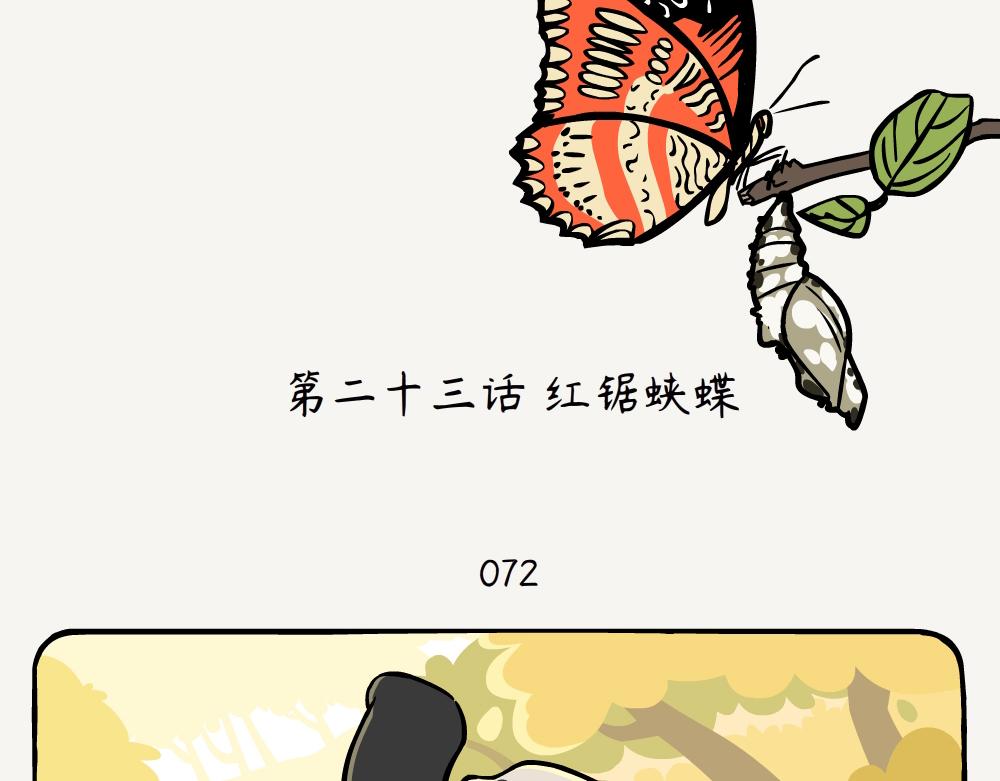 第23话 红锯蛱蝶-第23话