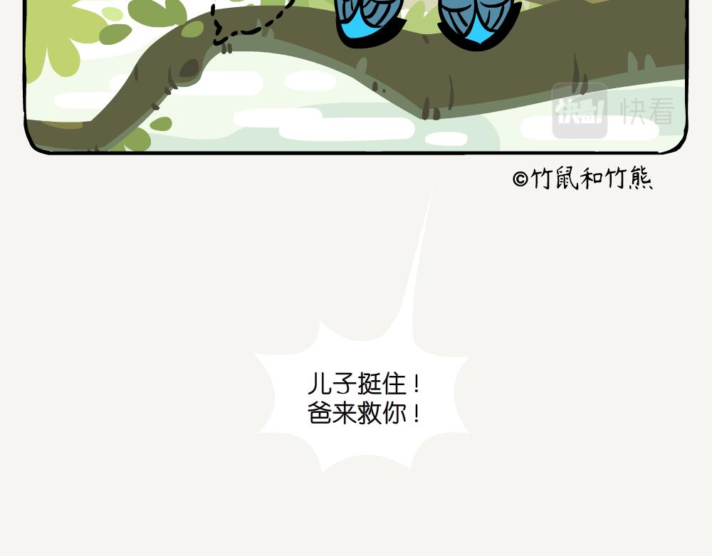 第25话 普通翠鸟-第25话